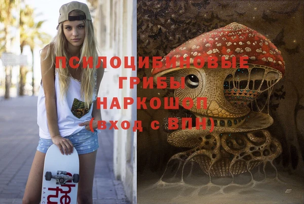 эйфоретик Коряжма