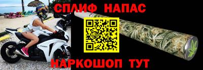 дживик Дубна