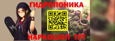 гашишное масло Берёзовский