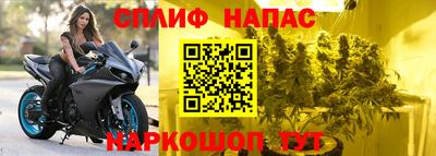 гашишное масло Берёзовский