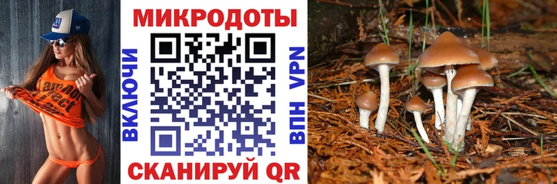 купить  сайты  Ногинск  Псилоцибиновые грибы Magic Shrooms 