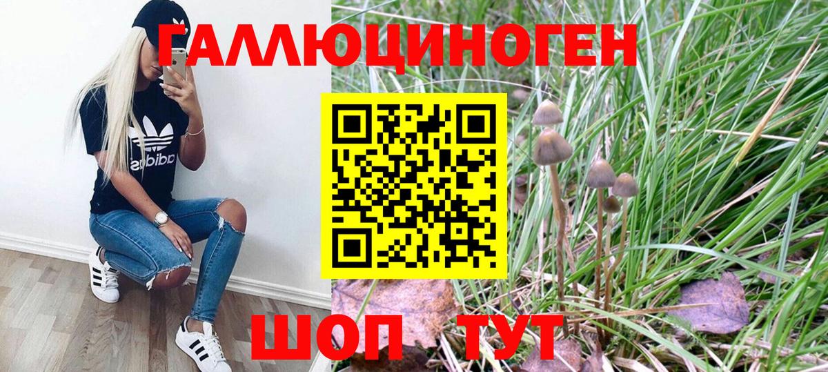 Ногинск  Кокаин  МЕФ кристаллы  LSD-25  МАРИХУАНА  Гашиш  Меф кристаллы  MDMA 