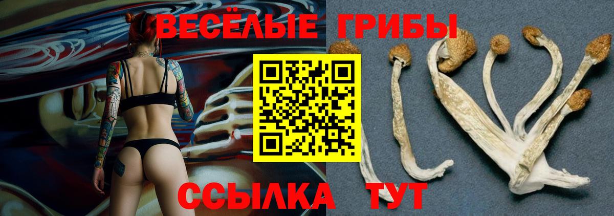 Псилоцибиновые грибы мухоморы  Ногинск 