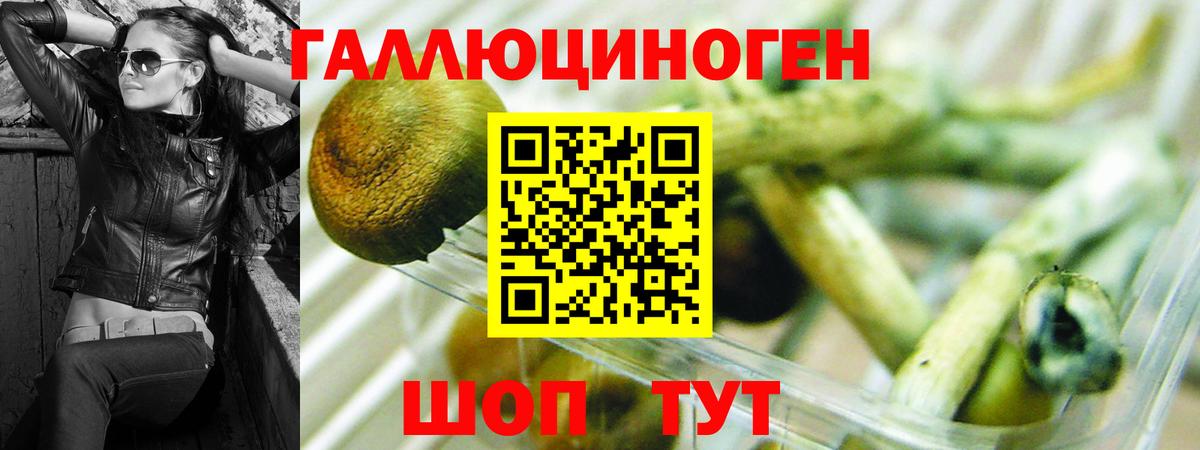 Псилоцибиновые грибы Magic Shrooms Ногинск