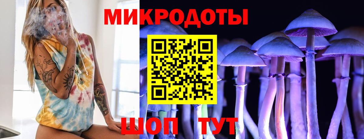 Псилоцибиновые грибы Cubensis Ногинск