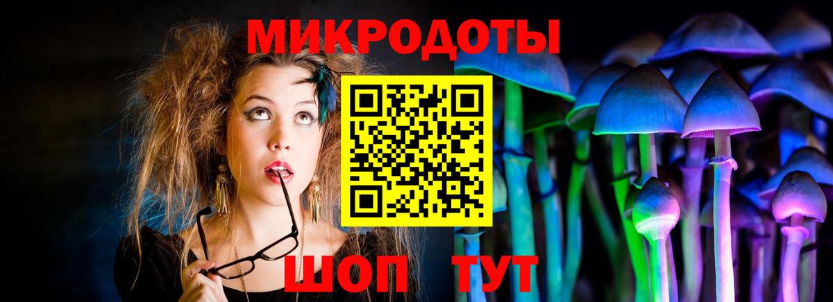 Ногинск  Галлюциногенные грибы MAGIC MUSHROOMS  Вход с VPN 